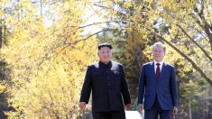 Kim Jong Un souhaite que le pape lui rende visite à Pyongyang (Séoul)