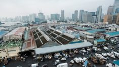 Dans l’émotion, les dernières enchères du thon de Tsukiji à Tokyo