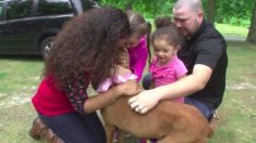 Une famille pleure de joie au retour de leur chien enlevé il y a 3 ans