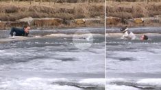 Un homme saute sans hésitation dans une rivière gelée  pour sauver son chien qui est tombé à travers la glace fine