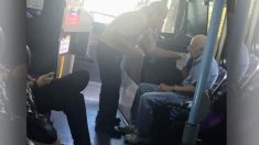 Un conducteur de bus porte secours à un homme âgé qui souffrait d’un coup de chaleur, il devient célèbre sur Internet