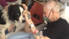 L’hôpital exauce le désir d’un homme en fin de vie de revoir son chien qu’il aime