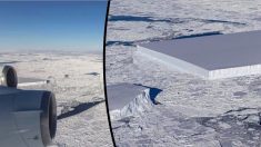 Un iceberg parfaitement rectangulaire photographié par des caméras de la NASA