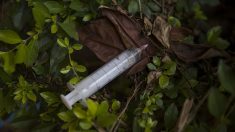 Annecy : un trafic d’héroïne trop présent dans les bois prive des collégiens de course d’orientation