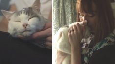 Un chat qui a sauvé sa maîtresse d’une hémorragie cérébrale reçoit à titre posthume le prix national du chat de l’année