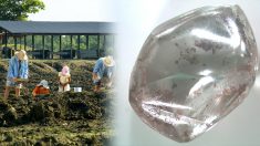 Une femme trouve un énorme diamant dans le parc national « Crater of Diamonds » des États-Unis