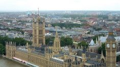 Les tribus de Westminster: qui soutient le projet au Parlement britannique?