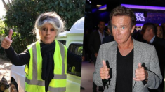 Brigitte Bardot, Patrick Sébastien, Franck Dubosc, Pierre Perret… soutiennent les « Gilets jaunes » 