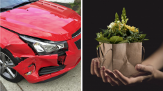 Angoulême : un jeune défonce un mur dans un accident de voiture – il revient avec des outils et une fleur pour s’excuser et réparer sa bêtise