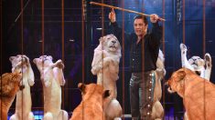 Portugal : les animaux sauvages seront interdits dans les cirques à partir de 2024