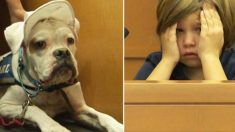 Un chien de thérapie sourd donne aux enfants le courage de témoigner contre des agresseurs devant les tribunaux