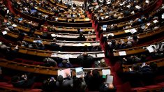 L’Assemblée vote largement l’interdiction symbolique de la fessée… avec moins de 10% des députés présents
