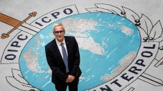 Cinq choses à savoir sur Interpol
