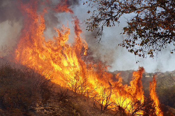 -Le 11 novembre : Un incendie a brûlé le camp de l'armée du salut, à Malibu, en Californie. Il a brûlé plus de 200 000 hectares et a atteint la côte du Pacifique à Malibu au fur et à mesure de son expansion. Photo de Sandy Huffaker / Getty Images.