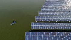 Les banques françaises ont réduit leurs financements dans l’éolien et le solaire pour revenir aux énergies fossiles »