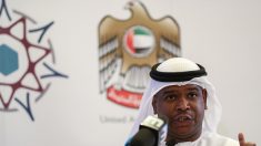 Les Emirats gracient un Britannique condamné pour espionnage, Londres reconnaissant
