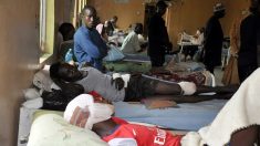 Niger: huit morts dans « une attaque terroriste » contre un camp de repos de foreurs (société française)