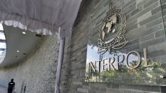 Présidence d’Interpol: la Russie dénonce « une politisation inadmissible »