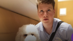 Medley, un chien d’assistance pour un jeune diabétique, est interdit d’avion