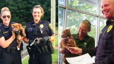 Un jeune pit-bull aide le Service de police de la Caroline du Nord en déterrant un pistolet chargé