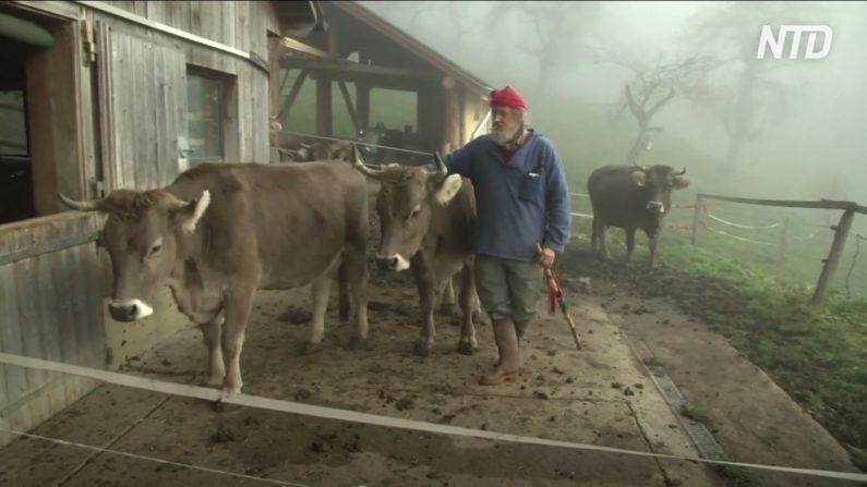 Armin Capaul, 66 ans, qui a initié le référendum sur la préservation de la "dignité du bétail"