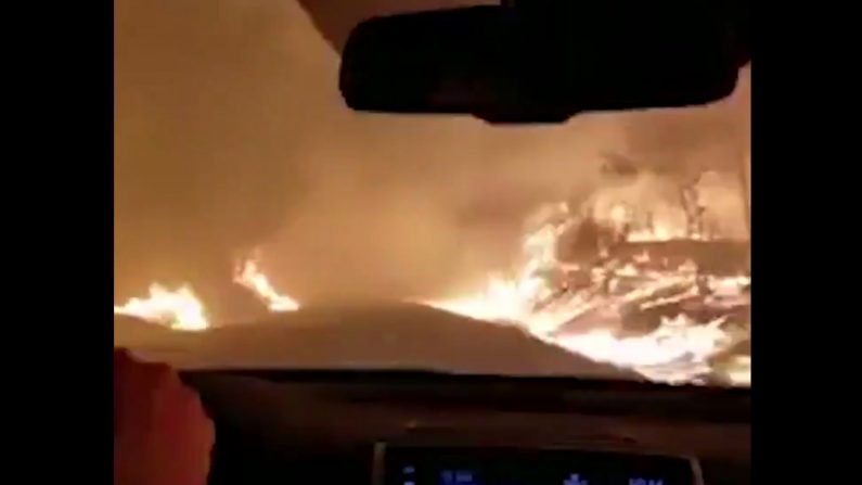 Cette femme essaye de fuir les incendies en Californie