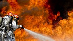 Lyon – à la suite d’un feu de voiture, les pompiers sont attaqués par une dizaine de jeunes