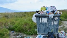 Dans le Nord à Raismes, Le maire de la ville a déclaré la guerre aux auteurs de dépôts sauvages d’ordures