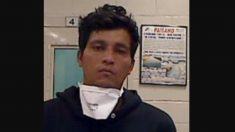 Un membre du gang MS-13 voyageant avec une caravane de migrants est arrêté en Californie