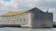 Une réplique grandeur nature de l’arche de Noé sera envoyée en Israël, dit le charpentier qui l’a construite