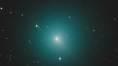 La comète 46P/Wirtanen, observable avec des jumelles, passera dans notre ciel dans quelques jours