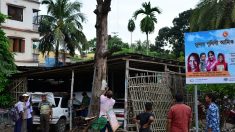 Au Bangladesh, le combat d’un homme pour sauver les arbres un par un