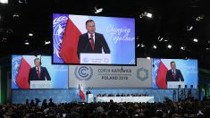 Pologne: le président Duda promet de ne pas laisser « assassiner » l’industrie minière