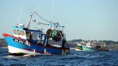 Quotas de pêche 2019: solidarité dans l’UE face à l’obligation de débarquement