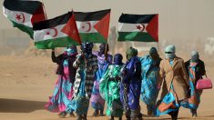 Les grandes dates du Sahara occidental