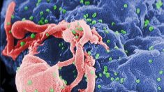 Plus de 3 000 patients potentiellement exposés au VIH et à l’hépatite à une clinique du New Jersey
