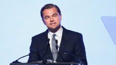 Depuis 20 ans, la fondation Leonardo DiCaprio a récolté 100 millions de dollars (87 millions d’euros) pour lutter contre le changement climatique