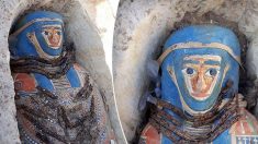 8 sarcophages égyptiens avec des momies bien conservées sont exhumés au sud du Caire