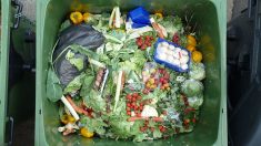 Montpellier : condamnés pour avoir récupéré de la nourriture dans la poubelle d’un supermarché, la cour d’appel finit par les relaxer