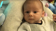 Des parents lancent un appel sur Facebook pour donner « un nouveau cœur » à leur bébé