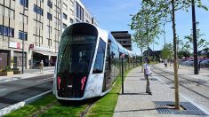 Gratuité des transports au Luxembourg : inquiétude et questionnements de la part des citoyens