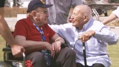 Quelques mois avant de mourir, un ancien combattant de la Seconde Guerre mondiale retrouve l’homme qu’il avait libéré du camp d’extermination nazi