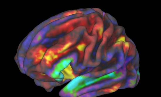 Image IRMf du cerveau d'un préadolescent pendant qu'il effectue une tâche de travail de mémoire, publiée par des chercheurs de l'ABCD. Les régions en jaune et rouge sont les plus actives. (Richard Watts, PhD, Université du Vermont et Fair Neuroimaging Lab, Oregon Health and Science University)