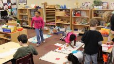 Pédagogie Montessori : les ressorts d’un engouement qui dure