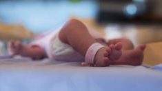 Lot-et-Garonne : des parents s’enfuient de la maternité avec leur bébé dont le pronostic vital est engagé