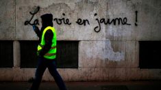 « Gilets jaunes » : le Défenseur des droits ouvre une enquête sur de possibles « atteintes à la liberté » de manifester