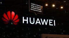 De plus en plus de pays commencent à boycotter Huawei