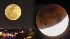 Une «super lune» sera en éclipse totale pour nous offrir un spectacle céleste exceptionnel – et ça s’annonce splendide
