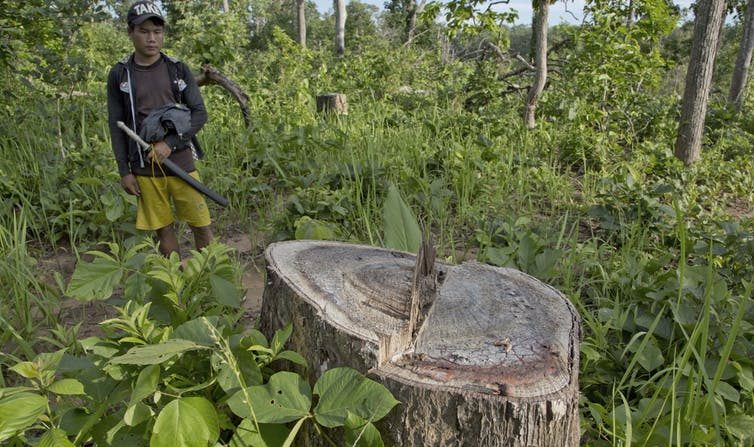 Les journalistes qui couvrent les opérations d’activistes environnementaux, comme ici en Birmanie, sont régulièrement menacés. (Gemunu Amarasinghe/AP)