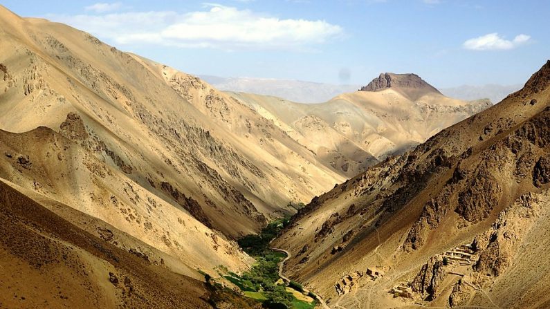 -En Afghanistan 2,5 millions de personnes sont touchées par la sécheresse, à cause de la déforestation. Photo : ONU/Anssi Kullberg.